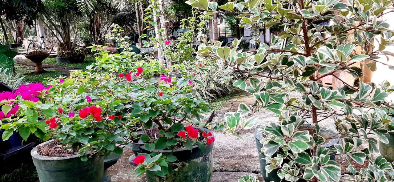 Hiriketiya Cinnamon Garden Диквела Екстериор снимка