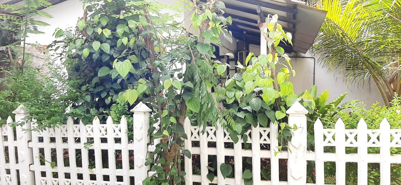 Hiriketiya Cinnamon Garden Диквела Екстериор снимка