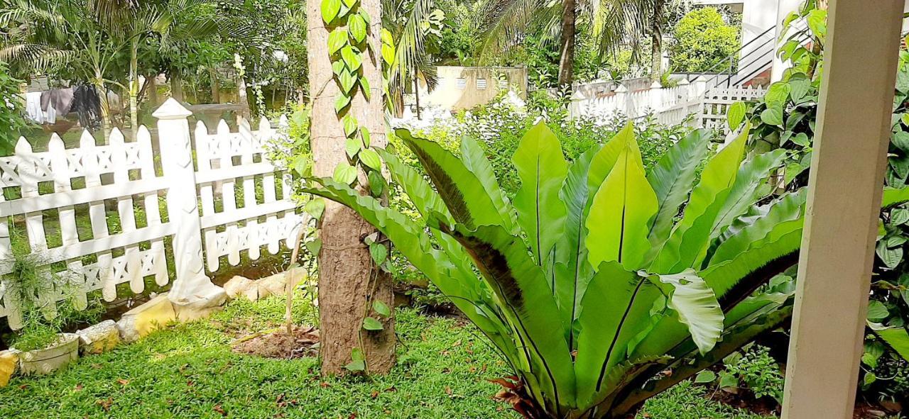 Hiriketiya Cinnamon Garden Диквела Екстериор снимка