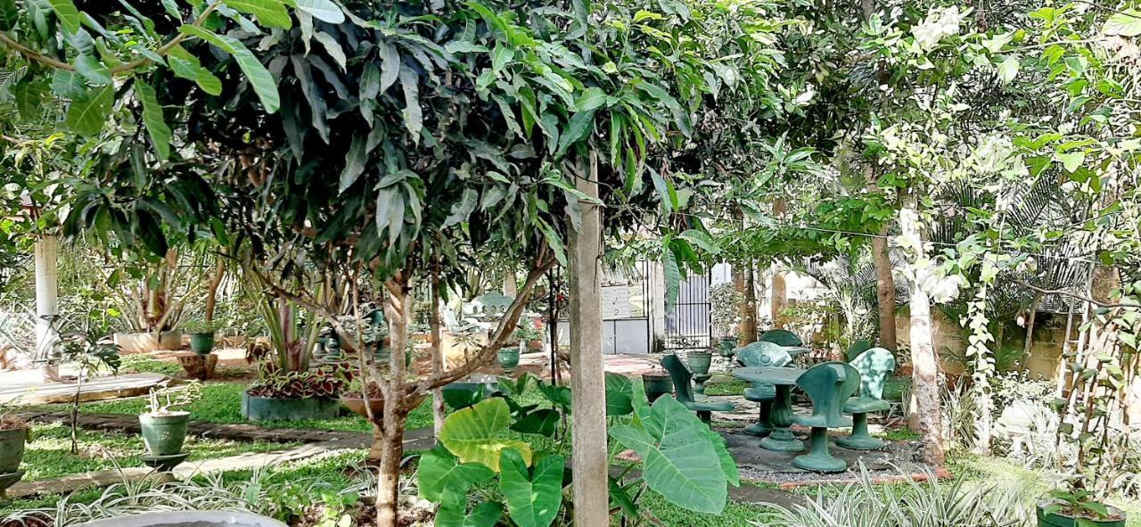 Hiriketiya Cinnamon Garden Диквела Екстериор снимка