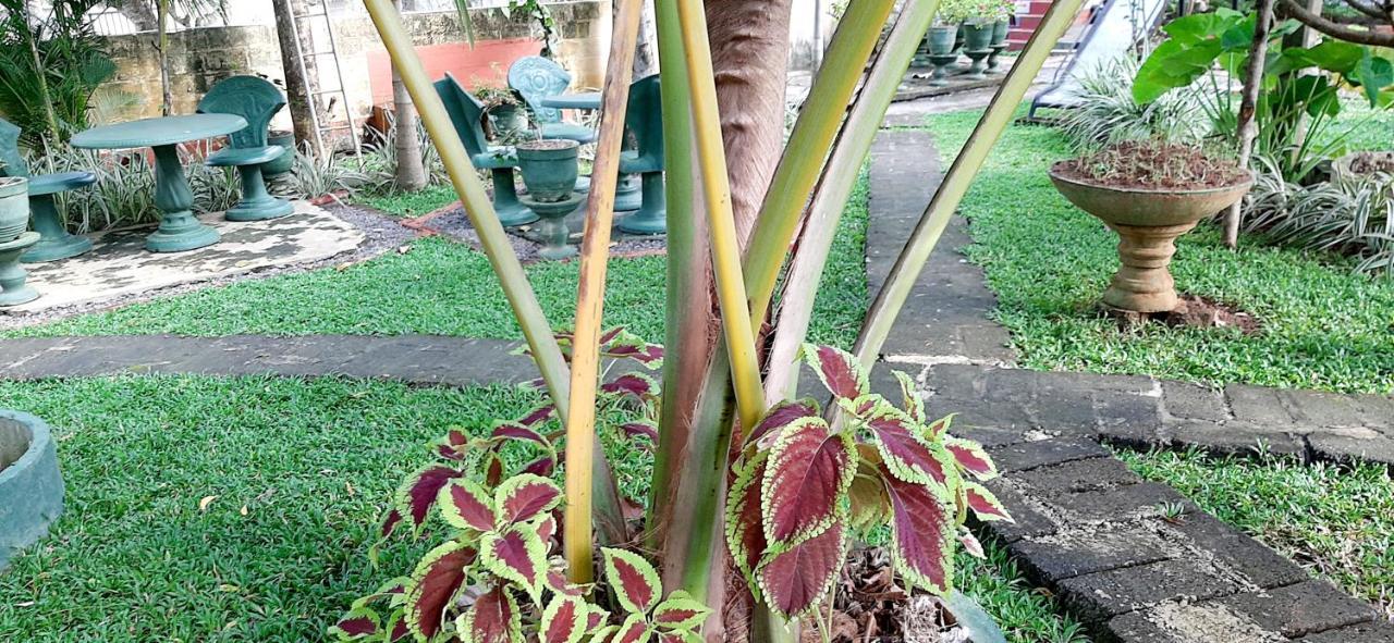 Hiriketiya Cinnamon Garden Диквела Екстериор снимка