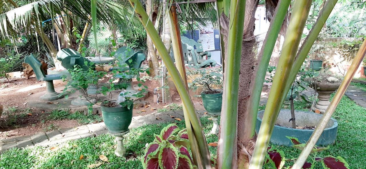 Hiriketiya Cinnamon Garden Диквела Екстериор снимка