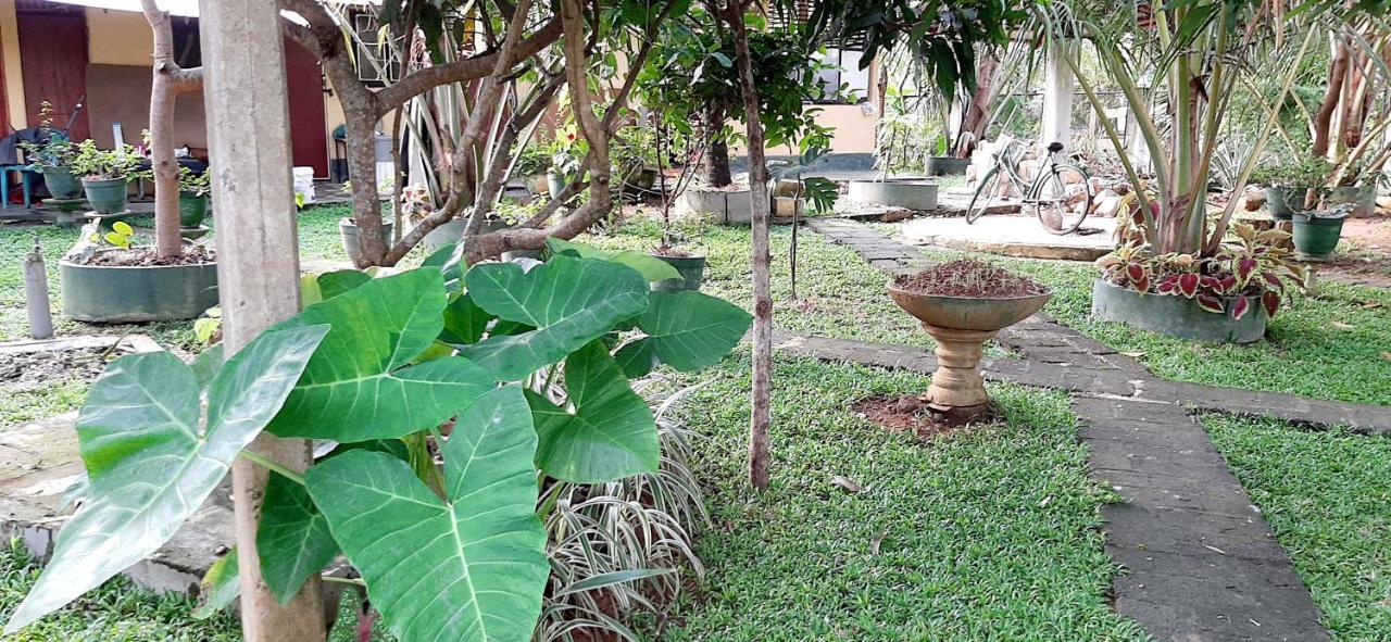 Hiriketiya Cinnamon Garden Диквела Екстериор снимка