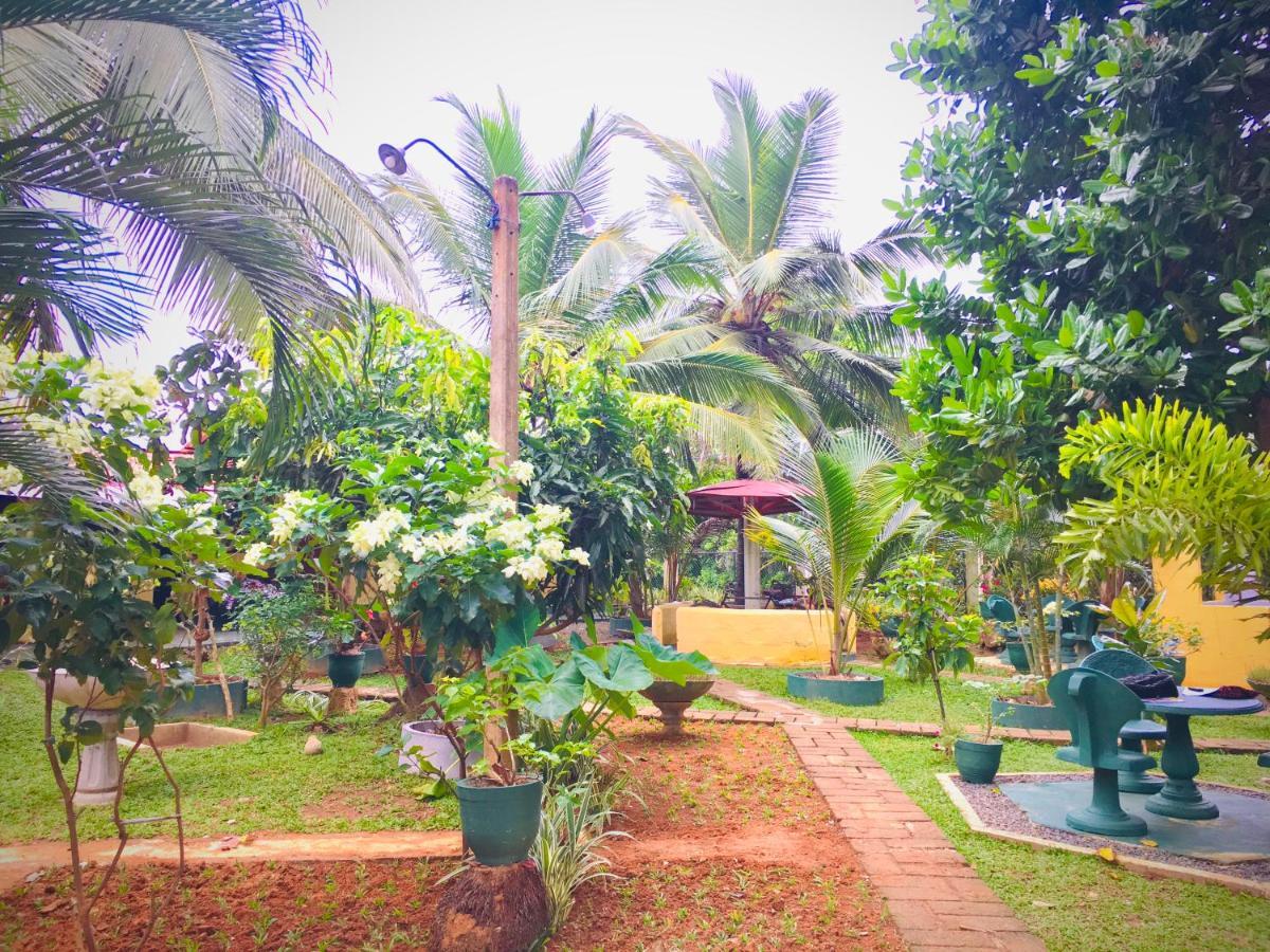 Hiriketiya Cinnamon Garden Диквела Екстериор снимка