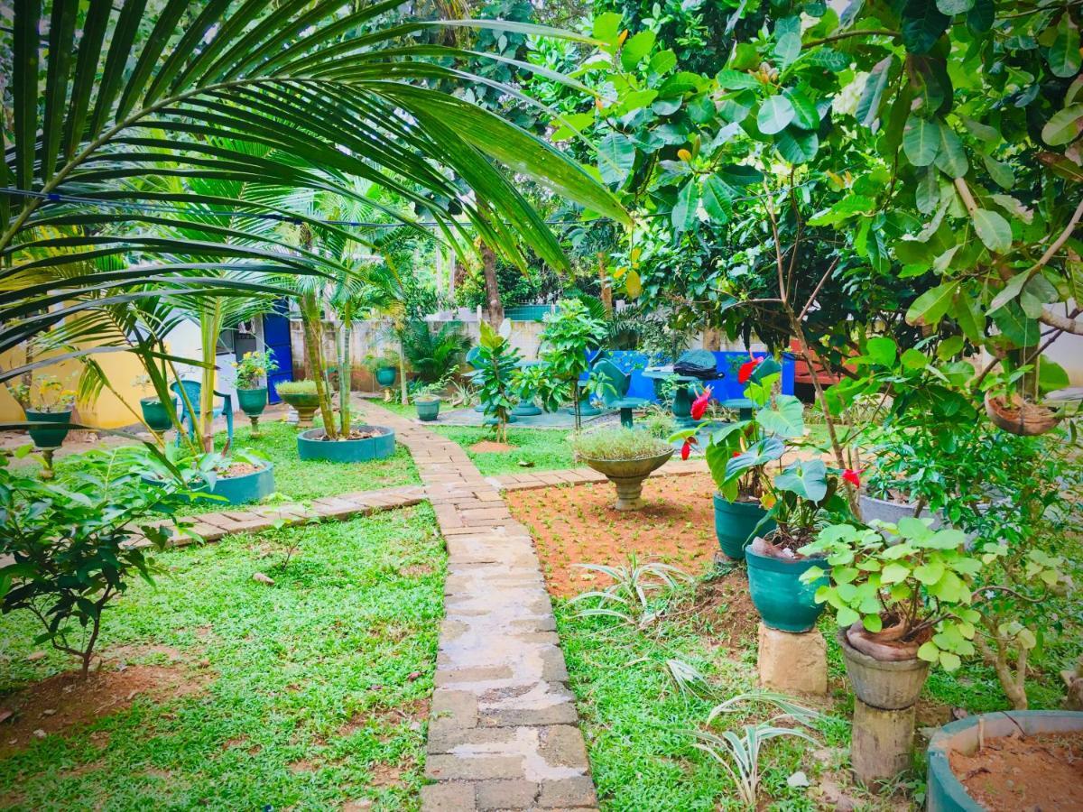 Hiriketiya Cinnamon Garden Диквела Екстериор снимка