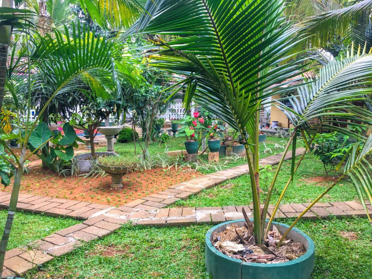 Hiriketiya Cinnamon Garden Диквела Екстериор снимка